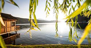 12 0890 web seefischer sommer19 gert perauer 12 0890 web seefischer sommer19 gert perauer