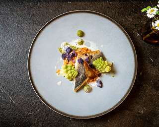 SEF Fisch Festival Post 1080x1920