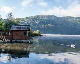 Sauna Seeblick