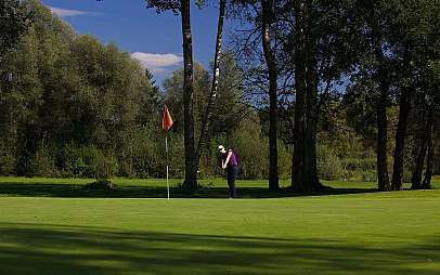 Golfer on the green