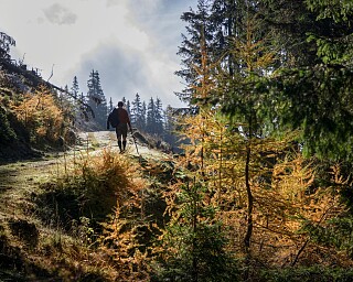 Wanderurlaub in Kärnten