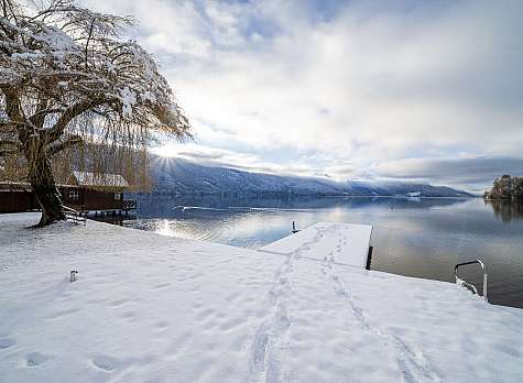 Verschneite Uferlandschaft am See