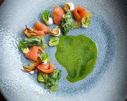 Kunstvoll angerichteter Teller mit Lachs, grünem Püree, Kräutern und kleinen Garnituren.