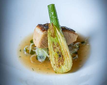 Angebratener Fisch mit geröstetem Gemüse und heller Sauce auf einem weißen Teller.