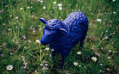 Blaue Schafsskulptur steht in einer Wiese mit Gänseblümchen.