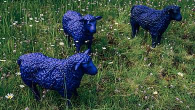 Blaue Schafe im Blumenwiesengrund